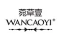 WANCAOYI菀草壹