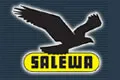 沙乐华SALEWA