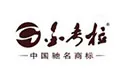 金考拉