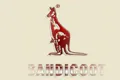 bandicoot袋鼠