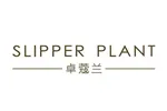 SLIPPER PLANT卓蔻兰